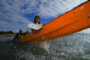 Seal Kayak Apollo Bay Great Ocean Road